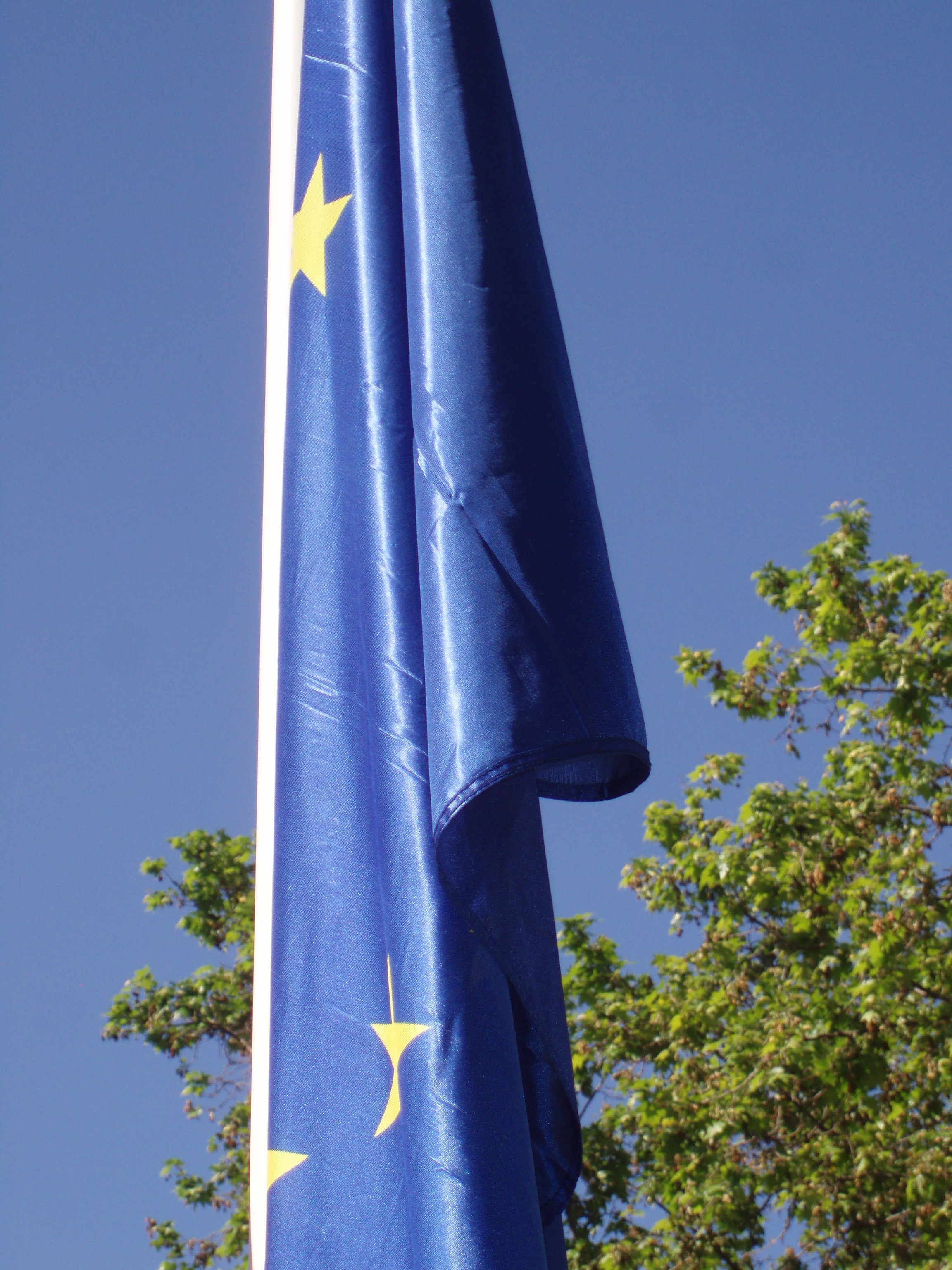 Actos de celebración del día de Europa. 2010