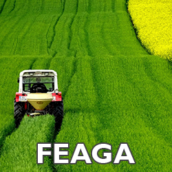 FEAGA: FONDO EUROPEO AGRÍCOLA DE GARANTÍA AGRARIA