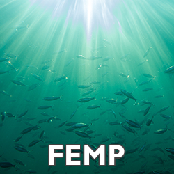 FEMP: FONDO EUROPEO MARÍTIMO Y DE PESCA